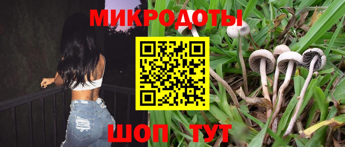 купить наркоту  Псилоцибиновые грибы Psilocybine cubensis  Вход с VPN  Острогожск 