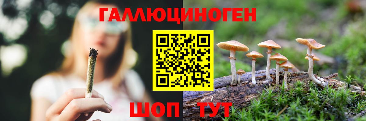 Псилоцибиновые грибы мицелий Острогожск